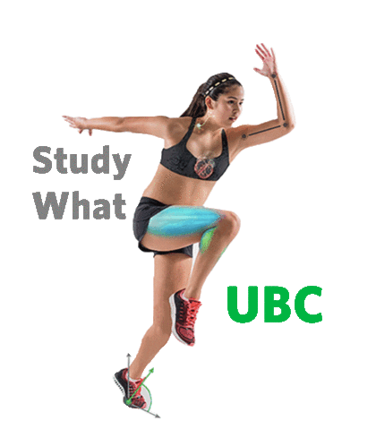 UBC Kin Sticker
