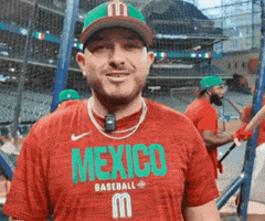 Blue Jays Thumbs Up GIF by Toronto Blue Jays
