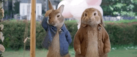 Bunny Sony GIF by Peter Rabbit Movie