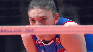 Star Power GIF by Volleyball World