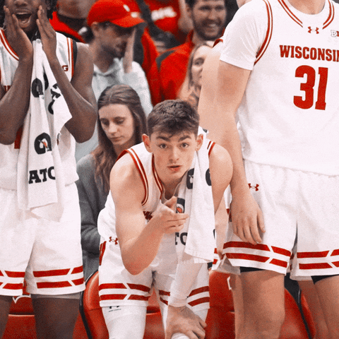 Oh My God Omg GIF by Wisconsin Badgers