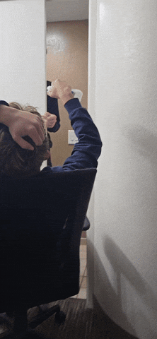Stefan GIF