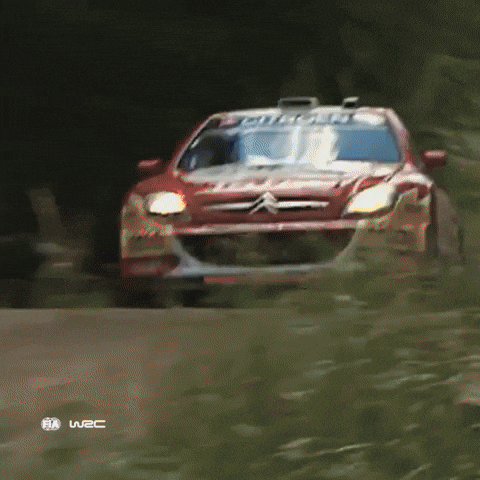 Car Crash GIF by FIA World Rally Championship