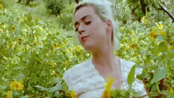 Daisies GIF by Katy Perry