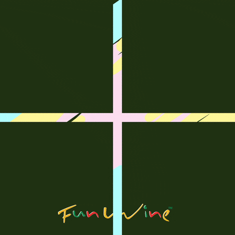 Cinco De Mayo GIF by FunWine
