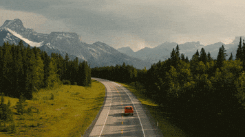 Driving GIF