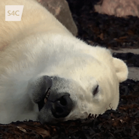 tired work GIF by S4C