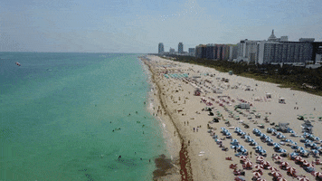 Miami Beach Summer GIF by ATLAST