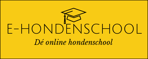 Ehondenschool GIF