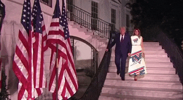 Donald Trump GIF