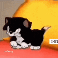 Angry Cat GIF by memecandy