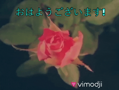 Letter of love - To Sei from MakeS Ohayo, Watashi no Sei - Wattpad
