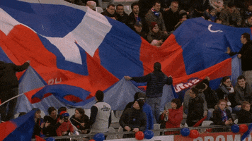fc grenoble fans GIF by FCG Rugby