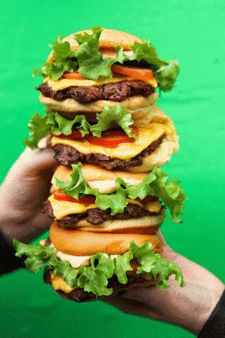 Wolly Burguer burguer xis wolly GIF