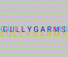 gullygarms GIF