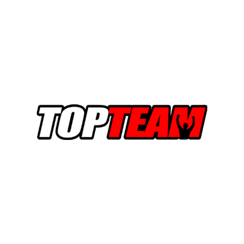 topteamff Sticker
