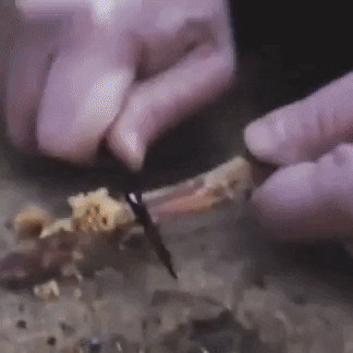 Bushcraft Fire Starter GIF by SURVIVAL REVIVED
