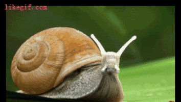 Badass Snail GIF