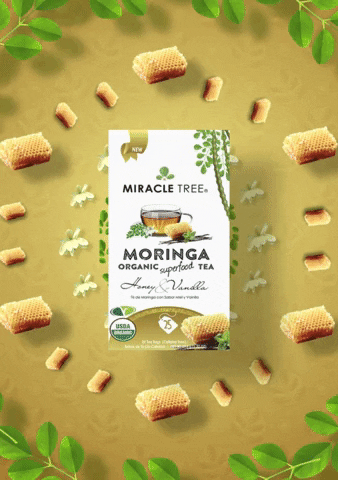 Miracle Tree GIF
