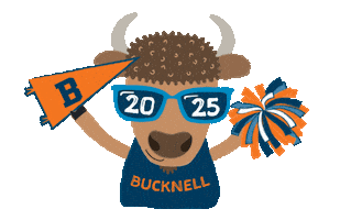 Fun Celebration Sticker by Bucknell University