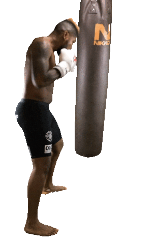 Work Out Fight Sticker by Luis Tavares