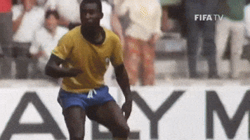 World Cup Reaction GIF by FIFA