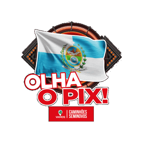 Sticker by Vamos Seminovos