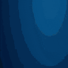 Primexbt GIF