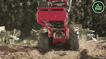 Munditol GIF