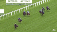 Ascot Racecourse Gif Find Share On Giphy Ascot Racecourse Gif Find Share On Giphy