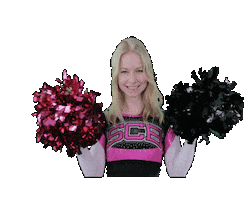 Cheerberlin Scorpionscheer Sticker by scc