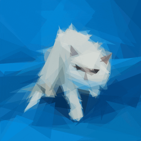 Cat GIF by MOODMAN