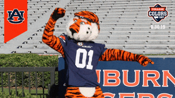 College Colors GIF by Auburn University