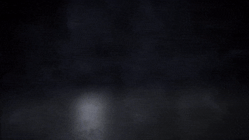 TzviSimcha GIF