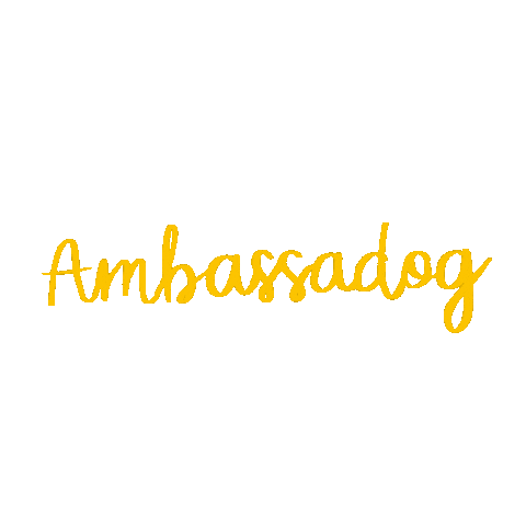 Ambassador Sticker