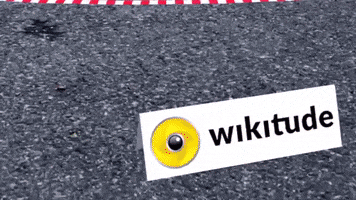 wikitude wikitude augmentedreality arsdk arapp ar GIF
