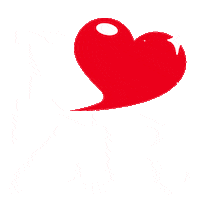 I love Zrenjanin Sticker