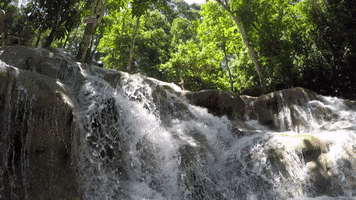 Travel GIF