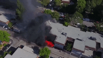 200.gif?cid=fc005b0895620d70ca83d65b7c5d2a49e12df89ba53afdd3&rid=200.gif&ct=g
