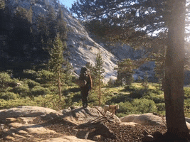 Backpacking Sierras GIF by Justin