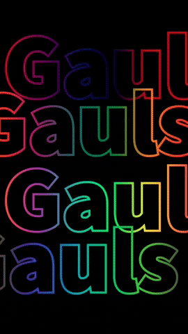gaulscatering GIF