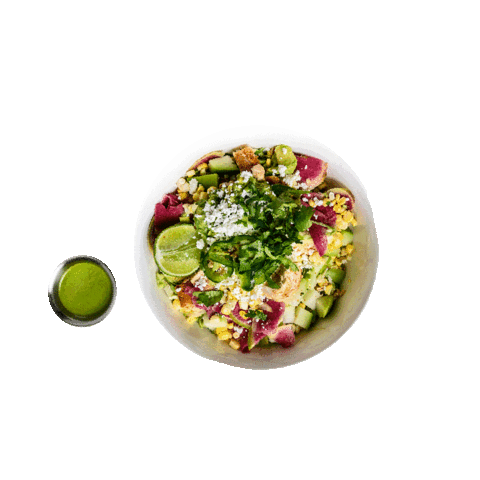 Summer Bowl Sticker by iQ