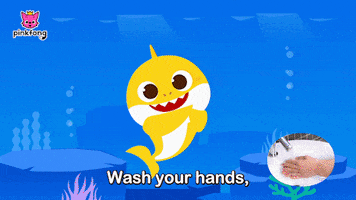 Wash Baby Shark GIF by Pinkfong