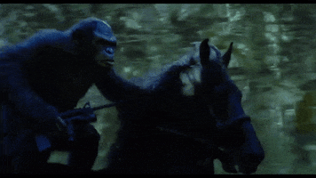 war for the planet of the apes GIF by 20th Century Fox Home Entertainment