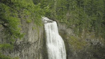eugenecascadescoast oregon waterfall waterfalls oakridge GIF