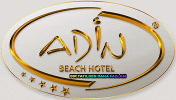 Adin Hotel GIF