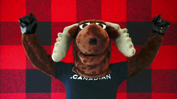 200.gif?cid=fc005b08e4f3a99cbc56a497abb15cdaaf9b7681cc2200ba&rid=200.gif&ct=g