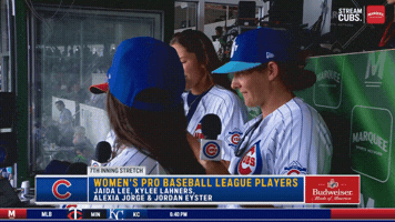 Chicago Cubs Baseball GIF