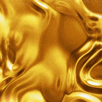 200.gif?cid=fc005b08774393aa22ce8fd2ce80d03702cd1b47f53218af&rid=200.gif&ct=g