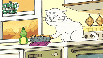 Craig Of The Creek Cat GIF by Cartoon Network
